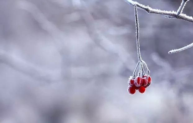 身体虚发朋友圈的说说_身体健康发虚_身体虚幻
