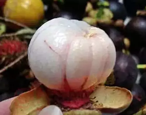 桃怎么切小块_怎样切桃_生活小技巧切桃子