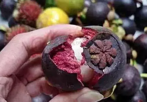 怎样切桃_生活小技巧切桃子_桃怎么切小块
