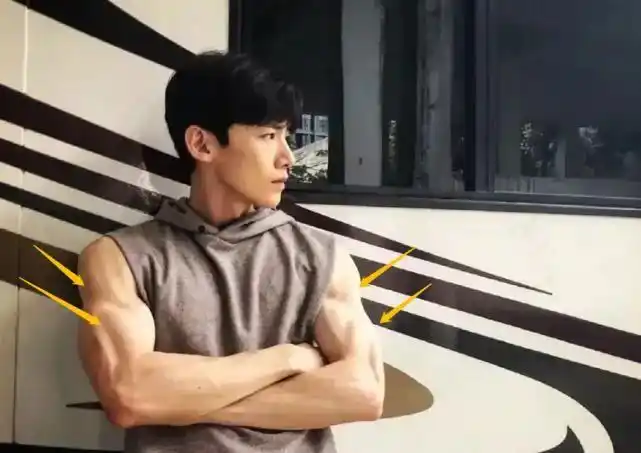 健身明星男后卫是谁_男明星健身后_健身明星男后卫图片