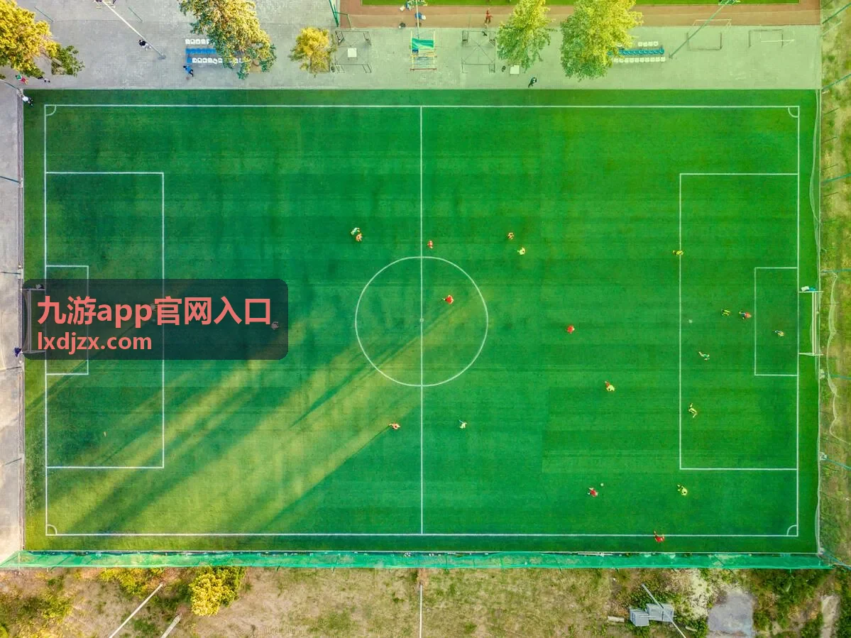 九游app官网入口在电脑端安装的运行环境说明配图