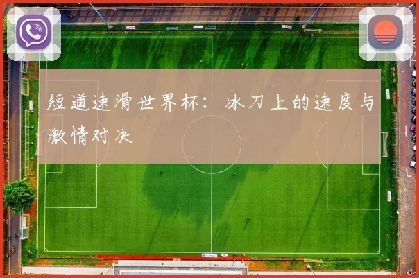 短道速滑世界杯：冰刀上的速度与激情对决