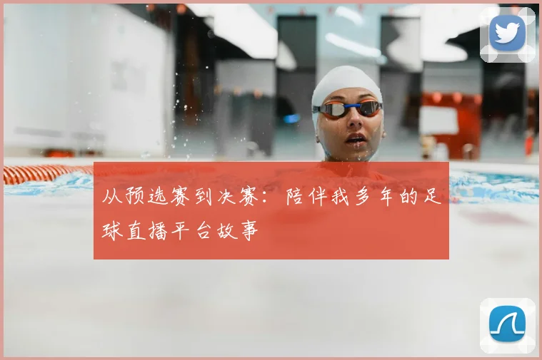 从预选赛到决赛：陪伴我多年的足球直播平台故事