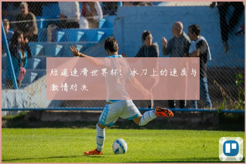 短道速滑世界杯：冰刀上的速度与激情对决