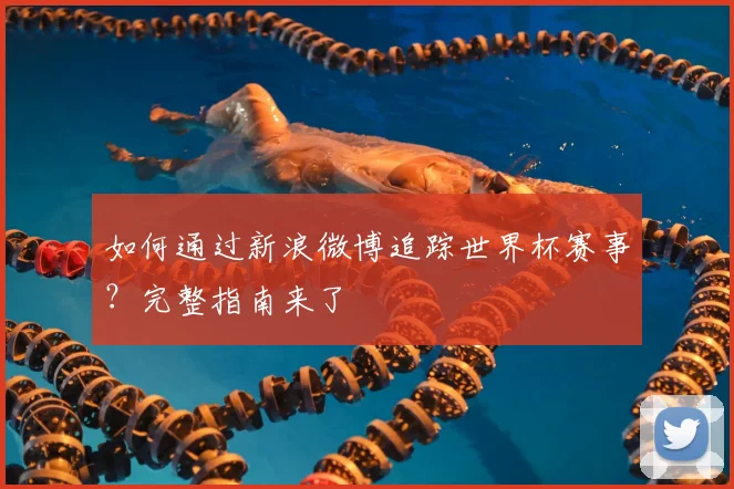 如何通过新浪微博追踪世界杯赛事?完整指南来了