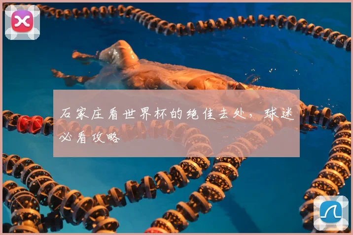 石家庄看世界杯的绝佳去处，球迷必看攻略