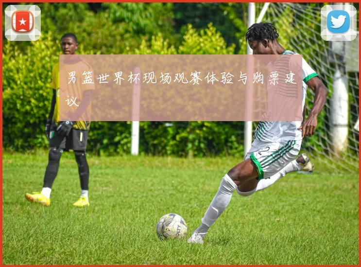 男篮世界杯现场观赛体验与购票建议