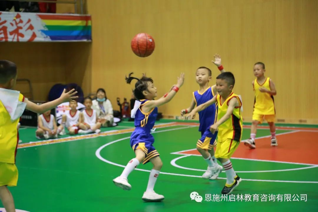 篮球规则实战书_实战篮球规则书电子版_实战篮球技巧视频教学